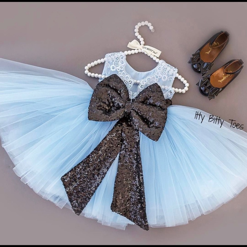 Brand new never worn dress from Itty Bitty Toes